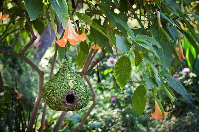 SuperMoss (56051) Woven Birdhouse – Durable Outdoor Hanging Bird House Made with Natural Moss for Wild Birds, 9.5” x 10.5” x 9.5”, Raindrop