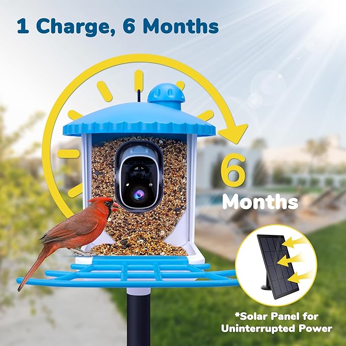 Twesync Smart Bird Feeder with Camera Solar Powered , 1080P HD AI Identify Wild Bird Feeder Camera 5000mAh, Auto Capture Bird Videos