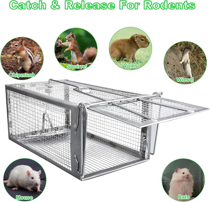 Humane Rat Traps 2-Pack, No Kill Small Animal Cage Trap, Live Mouse Trap Cage Catch and Release, Trampa para Ratones, Chipmunk Rodent Trap that Work for Indoor and Outdoor - 12.3" L x 6.5" W x 5.3" H
