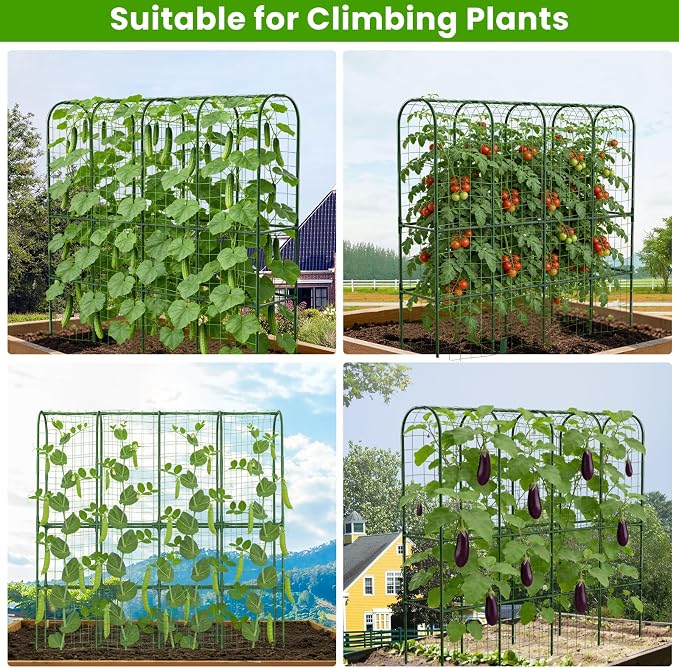 62in Tall Cucumber Trellis for Raised Bed, 68" L x 62" H Metal Garden Trellis for Climbing Plants Outdoor, U-Shape Vegetables Trellis Support for Squash Zucchini Peas Grape