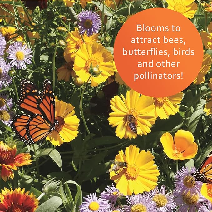 Earth Science Wildflower Pollinator Mix— 6 lb—3-in-1 Mix with Premium Wildflower Seed, Plant Food and Soil Conditioners, Non-GMO, for Bees, Hummingbirds, Butterflies, Pollinators