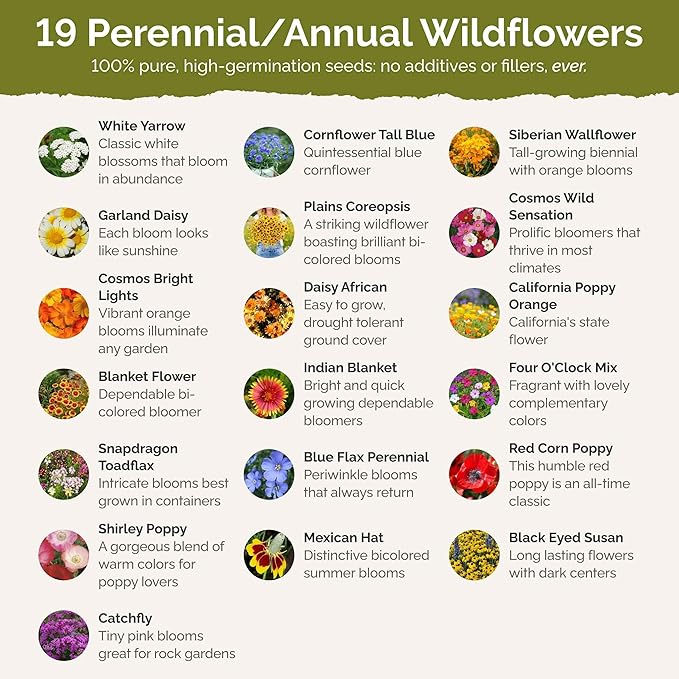 Eden Brothers Dry Area Wildflower Mixed Seeds for Planting, 10 lb, 4,800,000+ Seeds with Cosmos, African Daisy, Blue Flax | Attracts Pollinators, Plant in Spring or Fall, Zones 3, 4, 5, 6, 7, 8, 9, 10