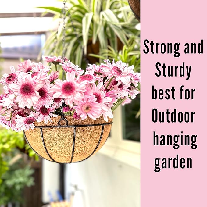 LaLaGreen Hanging Baskets for Outdoor Plants (2 Pack, 14 Inch) Large Hanging Planter with Coco Liner Round Flower Pots, Black Metal Wire Plant Holder Hook Deck Porch Modern Garden Balcony Boho Decor