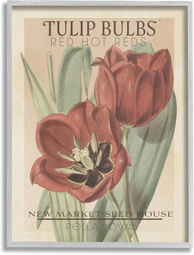 Stupell Industries Hot Red Tulip Bulbs Antique Floral Seed Packet