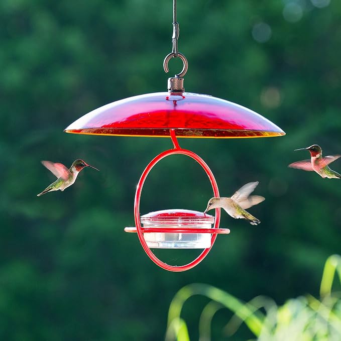Hummingbird Feeder for Outdoors Hanging, 3.4 OZ Hummingbird Feeders, Glass Bowl with 4 Feeding Ports, Leak Proof Lid & Circular Perch, Bird Feeder (3, Red)