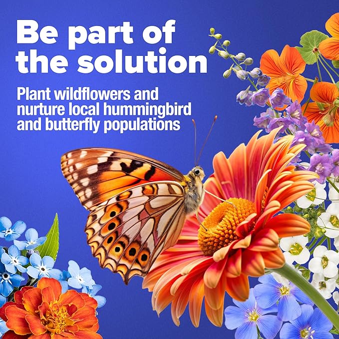 HOME GROWN 𝗨𝗦𝗔 𝗣𝗥𝗘𝗠𝗜𝗨𝗠 90,000+ Wildflower Seeds & Wildflower 134,000 & English Lavender Seeds 1,500