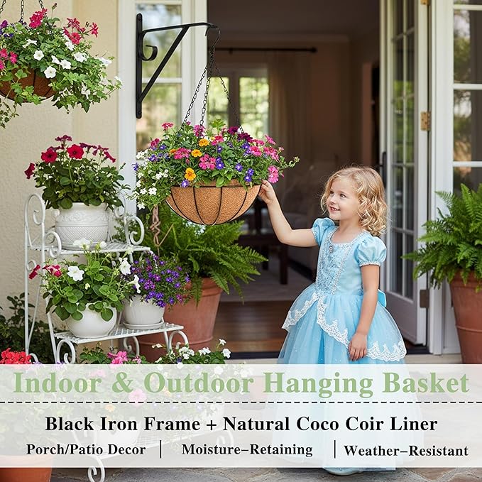 EIMQUVW Outdoor Metal Hanging Planters Basket (2pack, 12 inch) Hanging Baskets for Plants Chain Round Wire Plant Holder with Coco Fiber Liners for Garden, Patio, Deck, Porch
