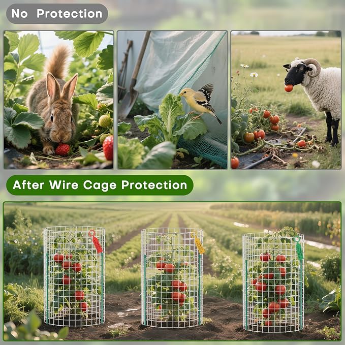 10-Set 12” x 24” Plant Protector from Animals, Hot-Dip Galvanized Metal Mesh Plant Cages, Dual-Secure with U-Stakes & Supports, Animal Barrier to Keep Rabbits & Chickens Out of the Graden