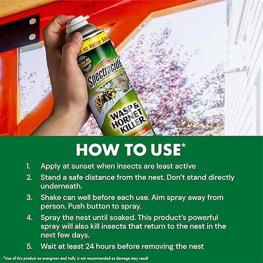 Spectracide Wasp & Hornet Killer Aerosol Kills Wasps, Hornets And Yellow Jackets On Contact & Eliminates The Nest, 12 Pack