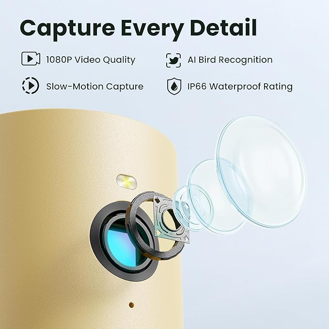 Birdfy Smart Bird Feeder with Camera for Rookie, Camera Bird Feeder Dual Night Vision, AI Recognition IP66 Waterproof for BirdLovers (Lifetime Free AI)