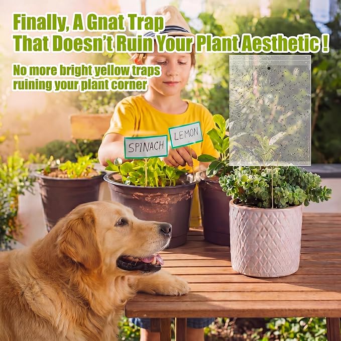 100 Pcs Gnat Sticky Traps for Plants, Transparent Double Sided Indoor Outdoor Pest Control for Fungus Gnats, Fruit Flies, Whiteflies, Aphids & Leaf Miners, Includes 10 Card Clips & 100 Twist Ties