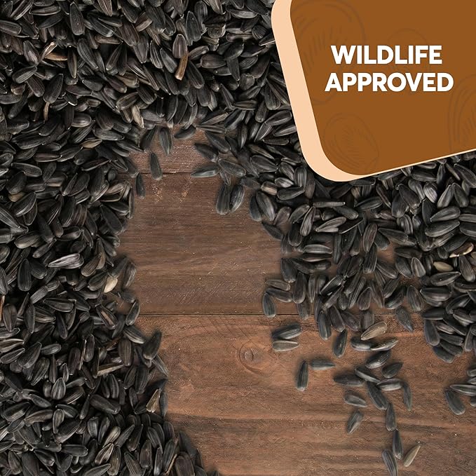 3 LB Black Oil Sunflower Seeds for Birds – Premium Wildlife & Bird Food – Grown in USA - Non-GMO - Black Oil Sunflower Seeds for Wild Birds and Backyard Feeders