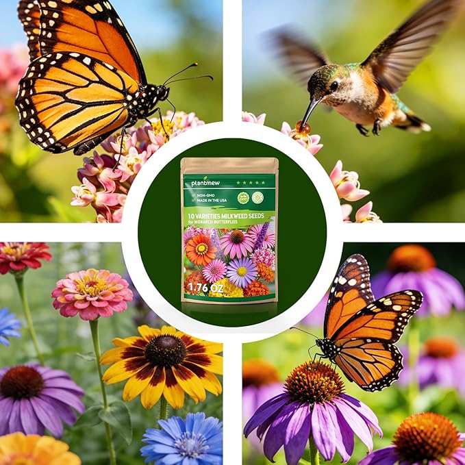 Milkweed Seeds for Monarch Butterflies – Wildflower Seeds Mix 18000+ Seeds (1.76 oz), Perennial Pollinator Garden Flowers, Attract Bees, Butterflies & Hummingbirds, Easy to Grow