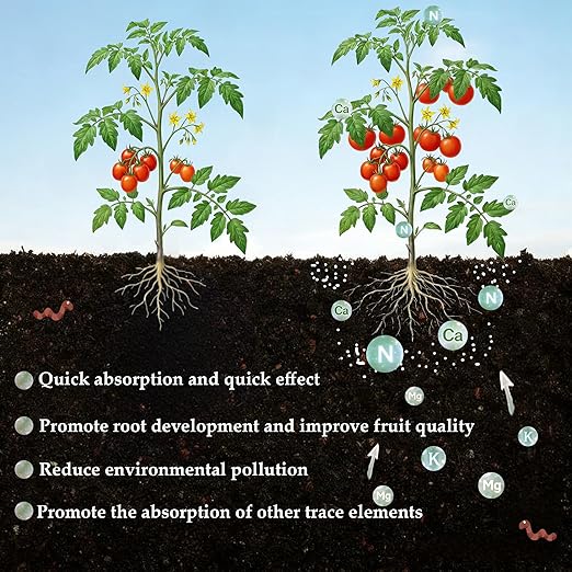 3LB Calcium Nitrate Fertilizer, 15-0-0 Nitrogen Fertilizer with Calcium, Indoor Plant Fertilizer, Plant Food for Houseplants, Lawn, Vegetable, Trees, Boost Stem & Leaf Growth, Improves Root Health