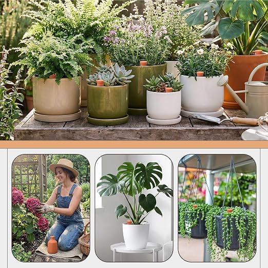DoubleFill 1 Pcs 50 oz Ollas Terracotta Watering Pots Self Watering Planter Insert Terracotta Globes Clay for Outdoor Indoor Garden Plants, Easy to Refill