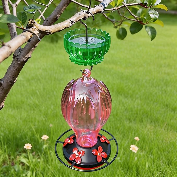 Extra Large Ant Moat for Hummingbird Feeder - Pack of 2PC x 9 OZ Capacity Insect Guard Daisy (Green)