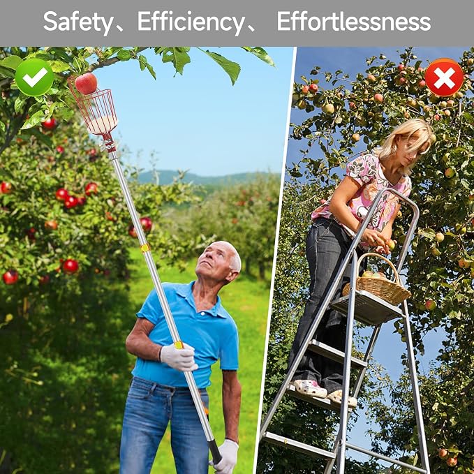 SANLIKE Fruit Picker Pole with Basket 8FT Adjustable Higher Lightweight Fruit Grabber Tool with Extension Pole for Apple Avocado Lemon Peach Pear Mango and Other Fruit Tree Harvester
