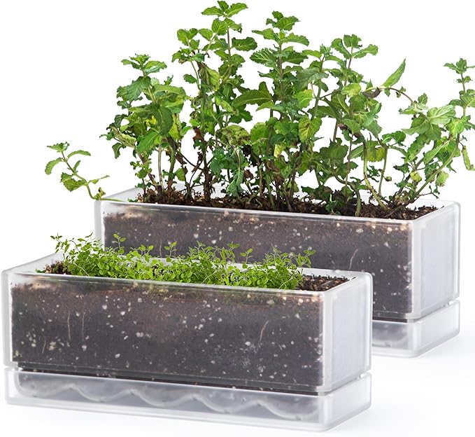 D'vine Dev 12 Inch Window Box Planter, Rectangle Acrylic Herb Planter with Drainage Holes and Saucer, Indoor Succulent Cactus Vegetable Pot for Windowsill, Garden Balcony, Clear, Set of 2, 76-X-D-2