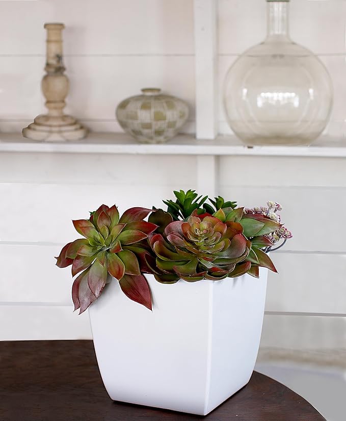 The HC Companies Aria Self Watering Square Plant Pot w/Drainage - Classic Planters for Outdoor Plants & Indoor Plants - Lightweight & UV-Resistant Plastic Pots for Plants (6" Warm Gray, Pack of 2)