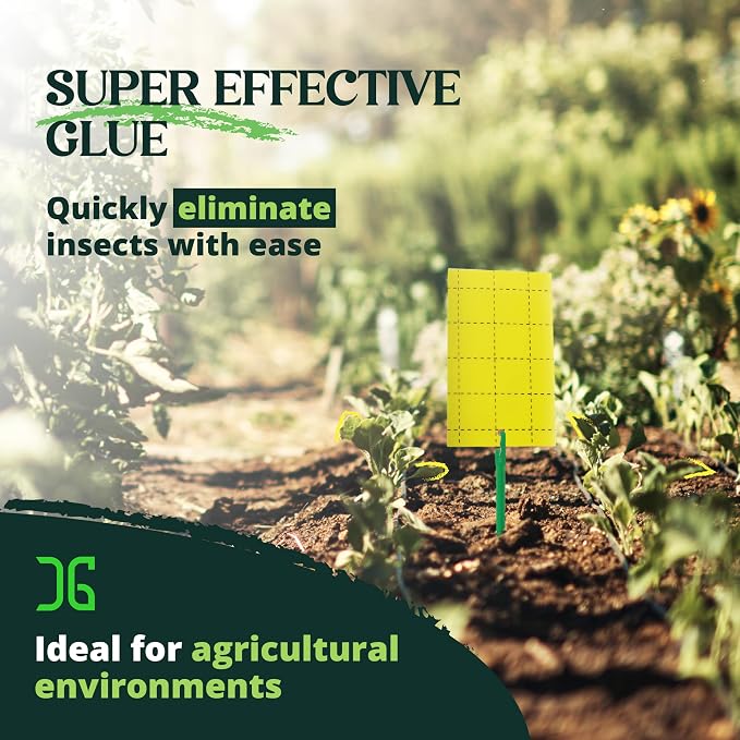 Catchmaster GRO Yellow Regular Double Sided Sticky Traps 36PK, Adhesive Bug & Fruit Fly Trap, Pest Control for Home, Farm, Garden, Hydroponics & Greenhouse, Protect Live Plants Indoor & Outdoor