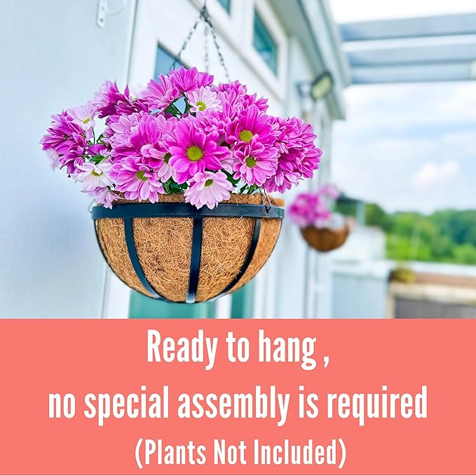 LaLaGreen Bundle- 2 Pack, 12 Inch Hanging Basket with Coco Liner + 4 Pack, 12 Inch Round Coco Liner Flat Metal Iron Plants Flower Holder Hanger Hook Chain Balcony Porch Deck Outdoor Home Garden Decor