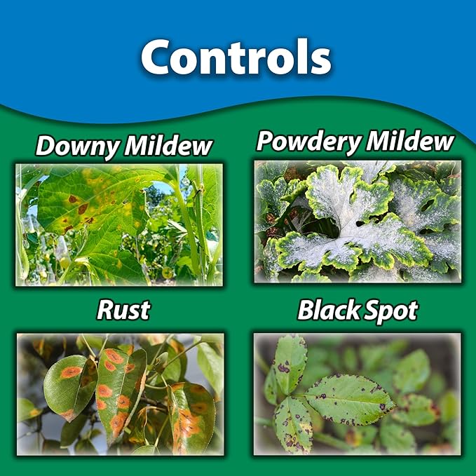 Monterey Liquid Copper Fungicide Spray Bundled with Measuring Spoon - Organic Gardening Fungicide for Flowers, Fruits, & Vegetables - 32 oz RTU