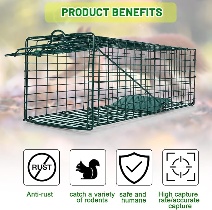 Qualirey 2 Pcs Humane Squirrel Trap Heavy Duty Live Animal Chipmunk Catch and Release Rat Trap for Outdoor Small Animals Mouse Raccoon Stray Cat Rodent Weasels(Green)