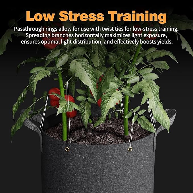 Patigrow Self-Watering Grow Bags, 5-Pack 10 Gallon 420G Thick Nonwoven Fabric Pots with Reinforced Handles and Multi-Purpose Rings, for Low Stress Plant Training Fruits, Vegetables,and Flowers