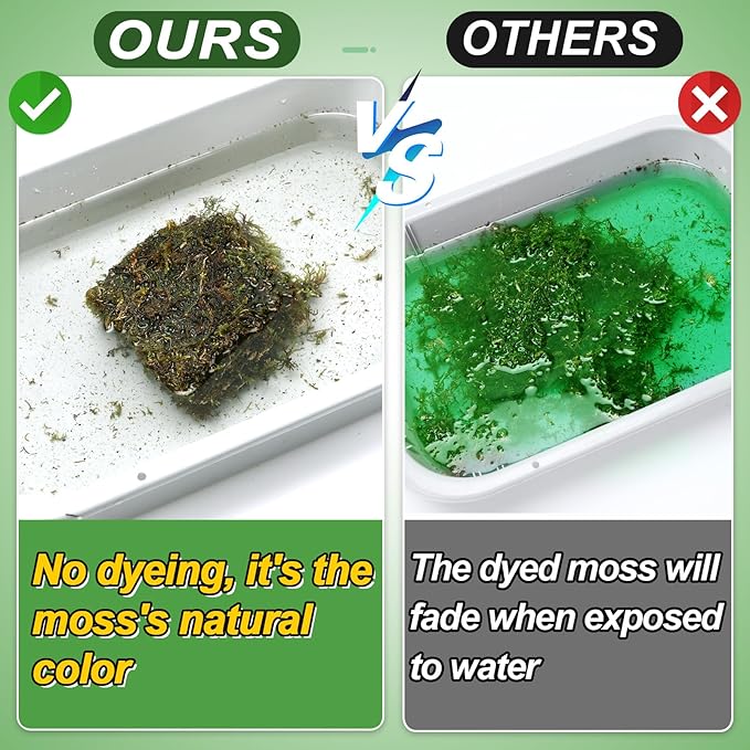 Alphatool 17oz Large Pack Natural Green Moss for Crafts - Bulk Moss for Plants Indoor, Artificial Fairy Gardens, Mosswall, Glass Terrariums, Filling Fake Plants, Home Decoration, Professional DIY Use