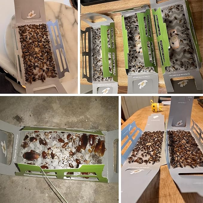 Roach Traps Indoor,Cockroach Trap,Roach Motel,Roach Traps Indoor for Home -15 Pack