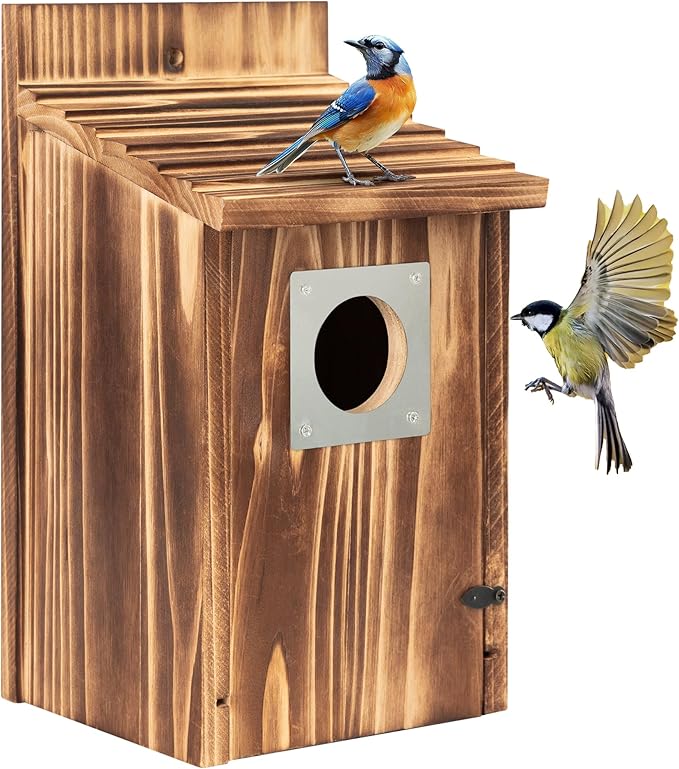 2 Pack Bird Houses for Outside with Metal Predator Guard for Bluebird Wren Swallow Finch, Carbonized Wooden Nesting Boxes for Outdoor, Sturdy Bird House,Easy to Clean