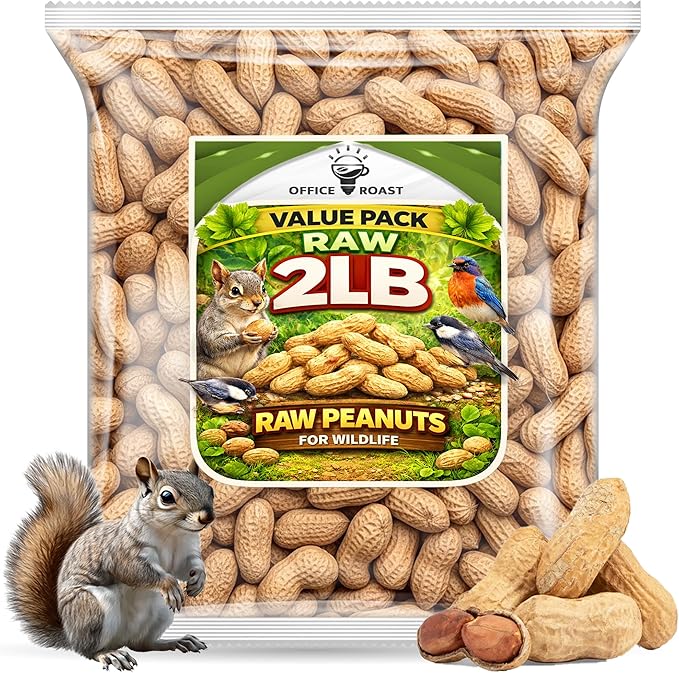 Office Roast Raw Peanuts in Shell 2 lb Bag – Unsalted, Natural & Healthy Snack – Plain Peanuts for Squirrels, Birds & Wildlife Feed