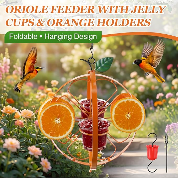 Oriole Feeder with Jelly Cups and Orange Holders, Oriole Bird Feeder for Outdoors Hanging, Foldable Orange-Shaped Jelly Feeders with Glass Bowls for Grape Fruit (1 Pack)
