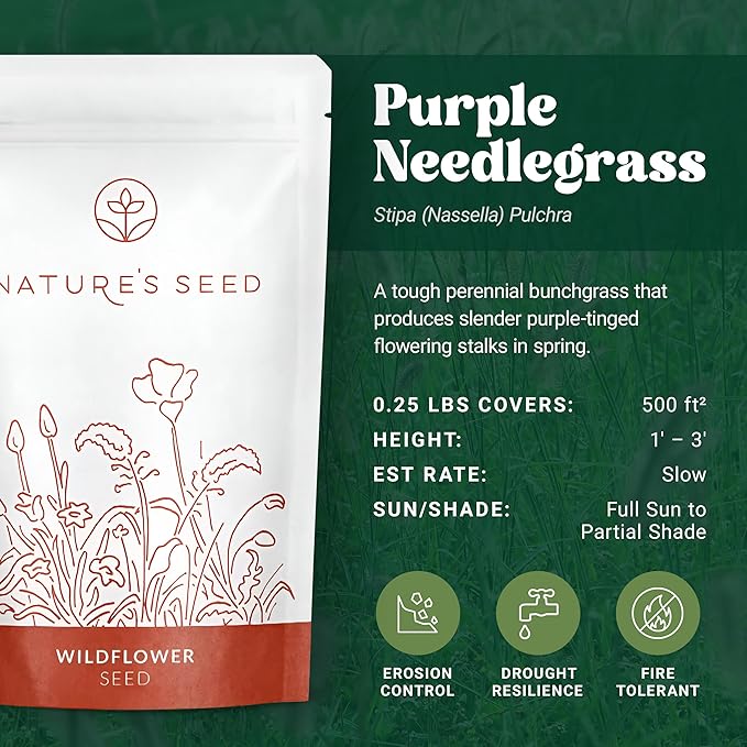 Nature’s Seed Purple Needlegrass, Native Perennial Wildflower Flower Seeds for Planting, Drought Tolerant, 0.25 lbs