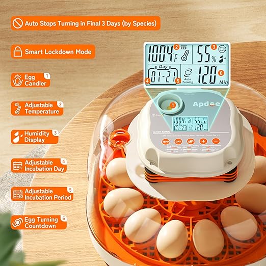APDOE Egg Incubators for Hatching Eggs, Temperature and Humidity Control, Automatic Egg Turning, Egg Candler, External Water Bottle, Air Vent, for Chicken, Duck & Quail Eggs, 12 Eggs + 30 Quail Eggs
