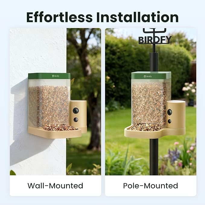 Birdfy Smart Bird Feeder with Camera for Rookie, Camera Bird Feeder Dual Night Vision, AI Recognition IP66 Waterproof for BirdLovers (Lifetime Free AI)