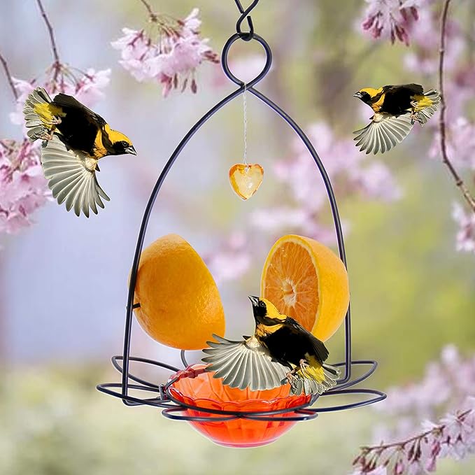 FORUP Oriole Bird Feeder, Orange Fruit Oriole Feeder