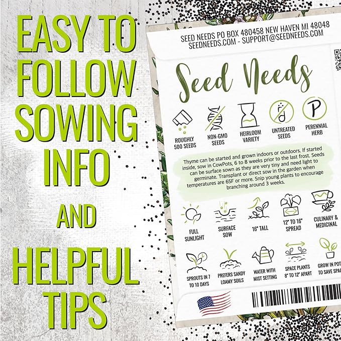 Seed Needs Sweet Marjoram & Thyme Seeds for Planting Fresh Kitchen Herbs - Non-GMO Heirloom & Untreated Perennial Herb Seed to Plant a Culinary Garden Indoors or Outdoors (2 Pack Duo)