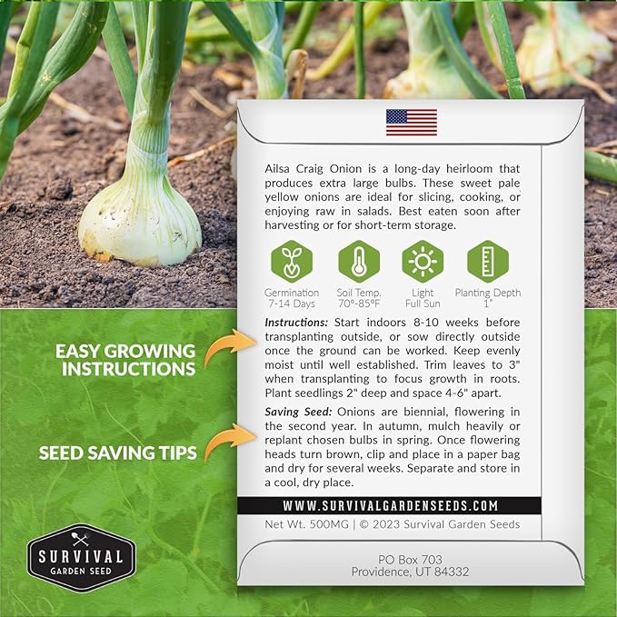 Ailsa Craig Onion Seeds for Planting – Long Day Yellow Sweet Onions with Jumbo Bulbs & Mild Flavor – Heirloom, Non-GMO, Open-Pollinated Variety – Survival Garden Seeds (1 Pack)