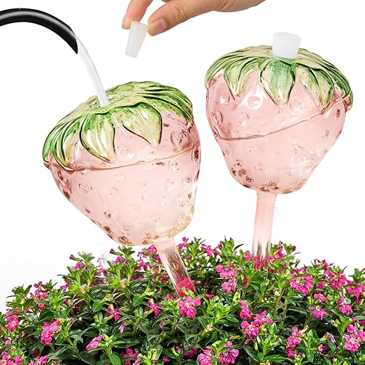 2pcs Strawberry and 3pcs Grape Watering Globes with 2 Terracotta Spikes