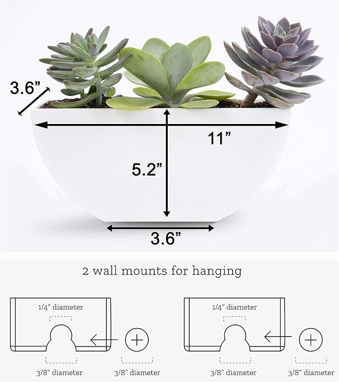 Bloem Bodye Half Moon Wall Mounted Hanging Planter 11" Charcoal Gray (BOD11908-HM)