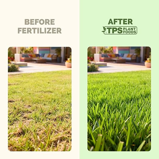 Zoysia Grass Fertilizer – Liquid Lawn Food for Dense Turf, Rich Green Color & Strong Root Development, 32 oz