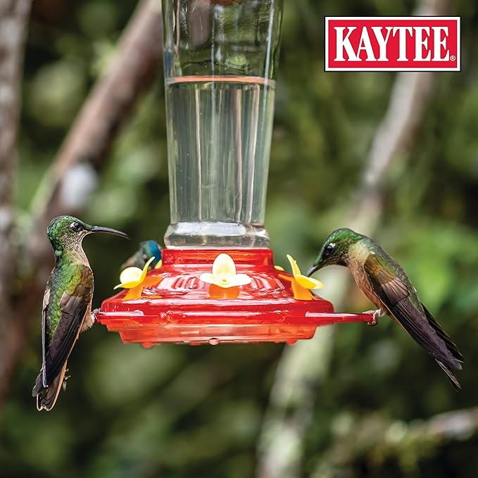 Kaytee Hummingbird ElectroNectar Wild Bird Food, 16 oz Concentrate 2 Pack, Makes 128 oz of ElectroNectar