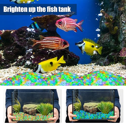 Sasylvia 12000 Pcs Glow in the Dark Rocks Glow in the Dark Stones Glowing Rocks for Garden Outdoor Glowing Fish Tank Pebbles Luminous Stone for Outdoor Yard Patio Aquarium Landscaping (Colorful)