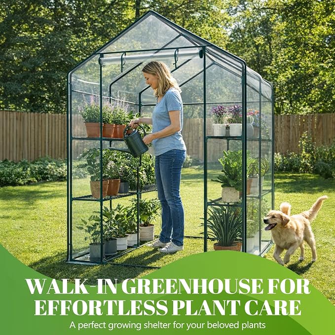 OLIXIS Outdoor Greenhouse, Walk-in Greenhouse with 2 Tier 8 Plant Shelves, Durable PVC Cover, 56"×56"×77" Portable Greenhouses for Outdoor Garden, Patio, Porch, Backyard Green Houses, Clear