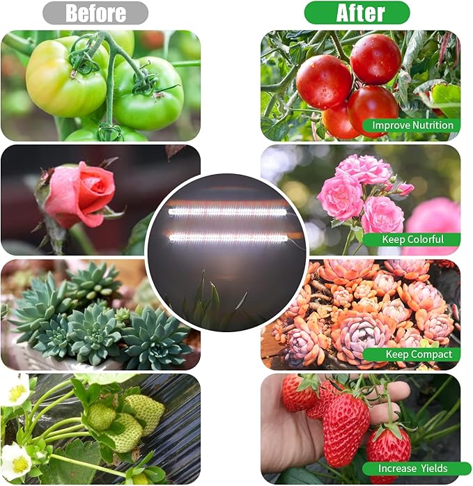 2 Head 13" Growing Lamp for Indoor Plants, Red & White Full Spectrum LED Grow Light Strips with Auto ON/Off, 3/9/12H Timer,10 Dimmable Levels for Green House Seedlings
