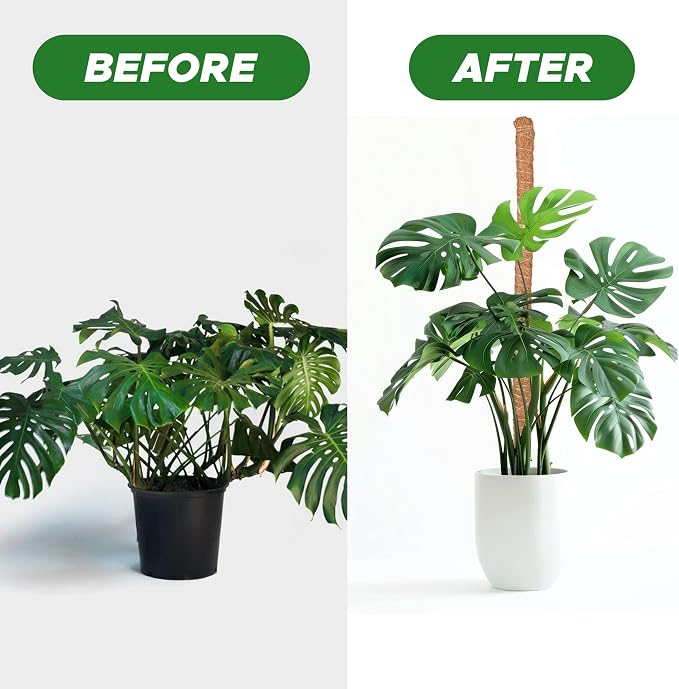 EcoNour Moss Pole for Plants – 28 inches (4 Pack) | Monstera Plant Support for Plant Climbing and Growth | Elevate Your Indoor Garden, Plant Support for Indoor Potted Plants to Grow Upwards