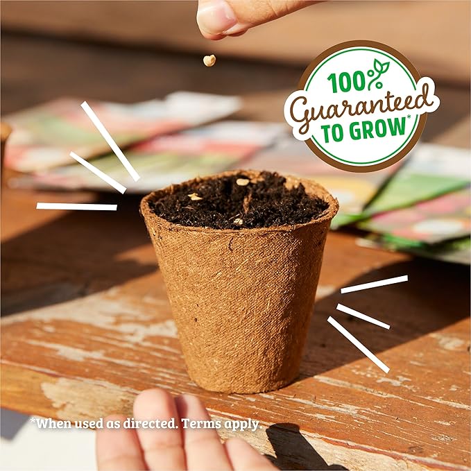 Back to The Roots Organic Vegetable Seeds Variety (5-Pack)