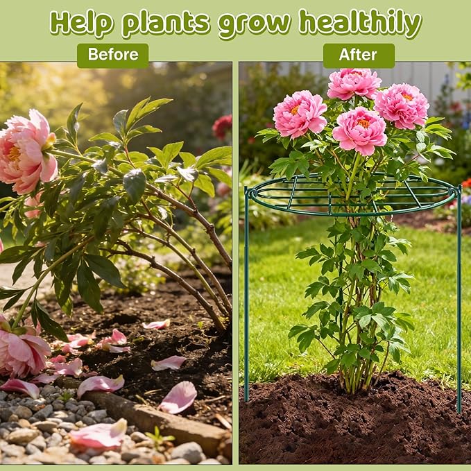 6 Pack 16 x 24 inch Peony Cages and Supports,Metal Grow Through Plant Supports for Outdoor Plants,Flowers Support Rings Top-Heavy Plant Brace Support Hoop for Vegetables,Rose,Tomato,Orchids
