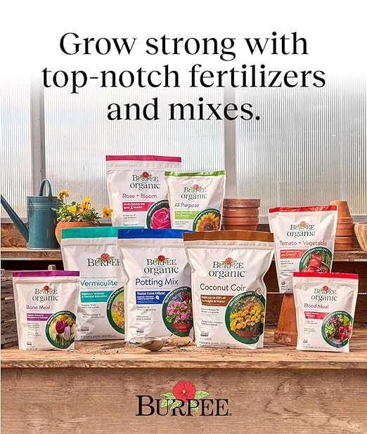Burpee Bone Meal Fertilizer | Add to Potting Soil | Strong Root Development | OMRI Listed for Organic Gardening | for Tomatoes, Peppers, and Bulbs, 1-Pack, 3 lb (1 Pack)